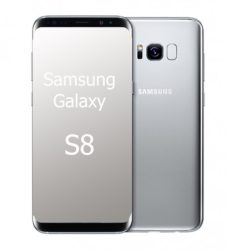 → Samsung Galaxy S8 / G950